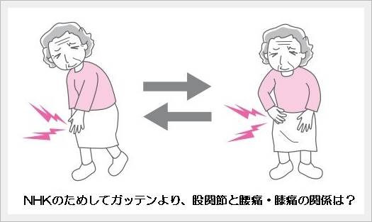 NHKのためしてガッテンより、股関節と腰痛・膝痛の関係は？