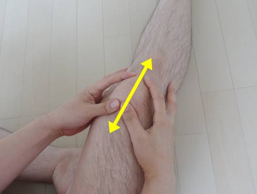 膝蓋骨の解剖、その役割と可動性。お皿はどれぐらい動くのか？14
